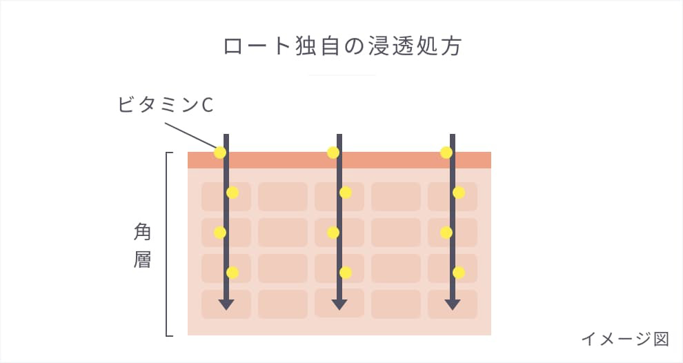 ロート独自の浸透処方イメージ図